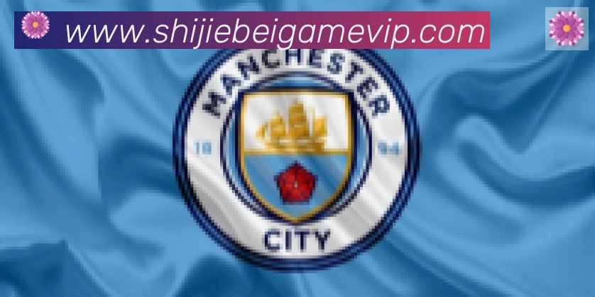 FIFA世界杯买球入口合作伙伴