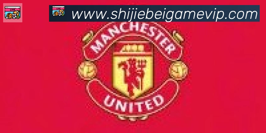 FIFA世界杯买球入口合作伙伴